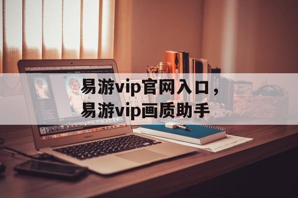 易游vip官网入口，易游vip画质助手